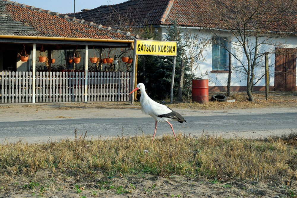 Fotó: KNPI