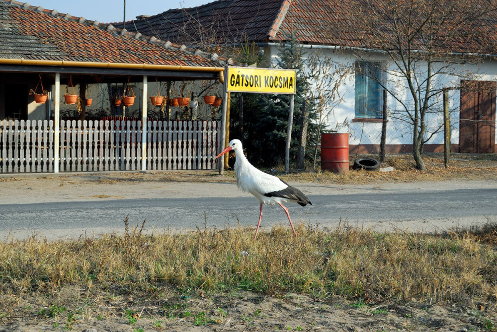 Fotó: KNPI