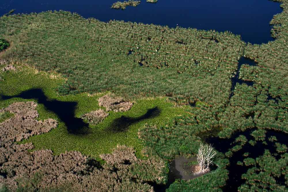 Fotó: Kőrös-Maros Nemzeti Park