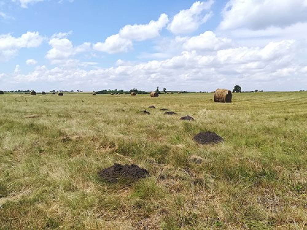 Fotó: Körös-Maros Nemzeti Park Igazgatósága