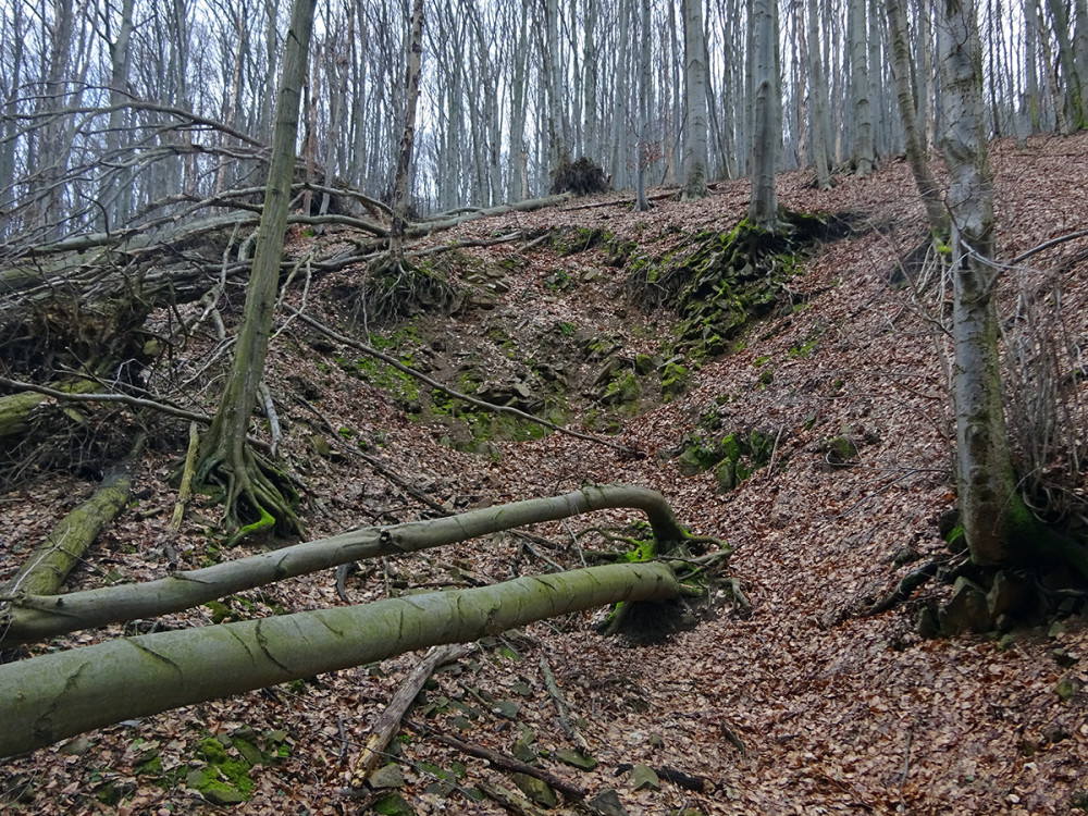 Fotó: Lánczi Péter