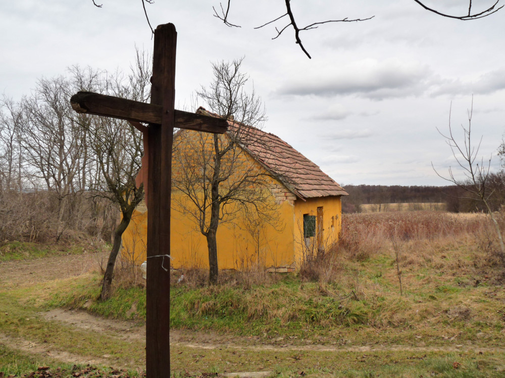 Fotó: Lantos Gábor