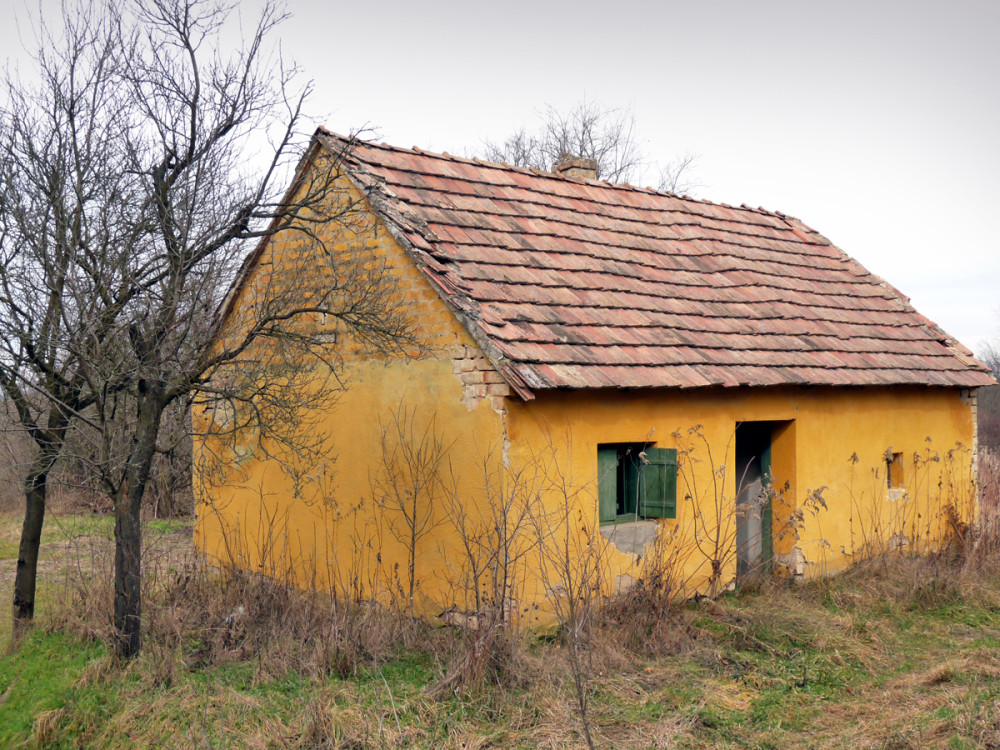 Fotó: Lantos Gábor