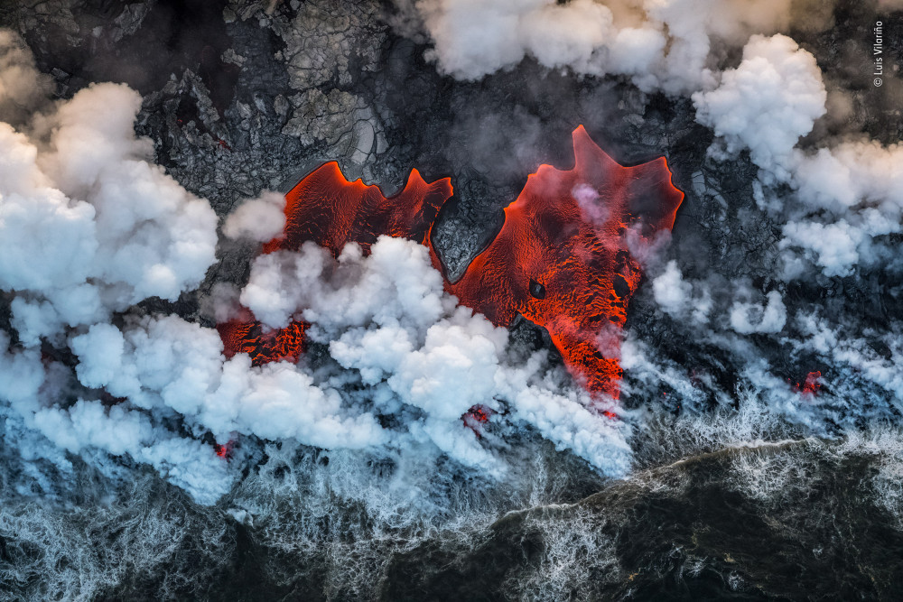 Fotó: Luis VilariĂąo / Wildlife Photographer of the Year