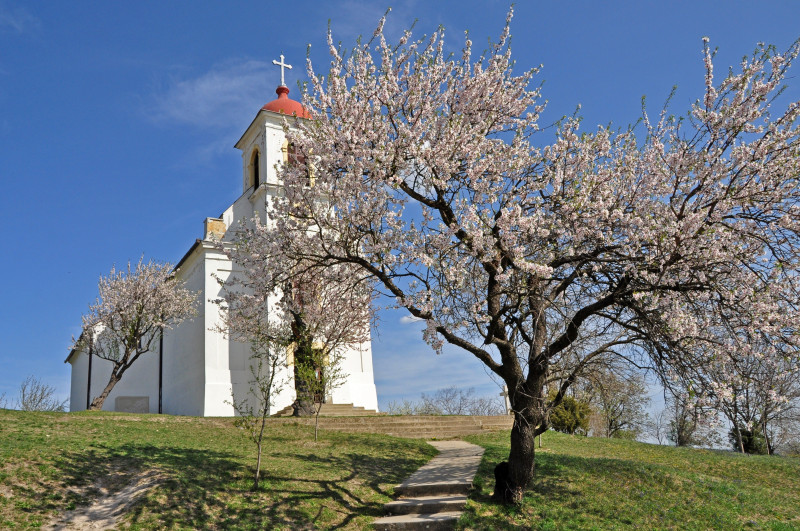 Fotó: Manfai György