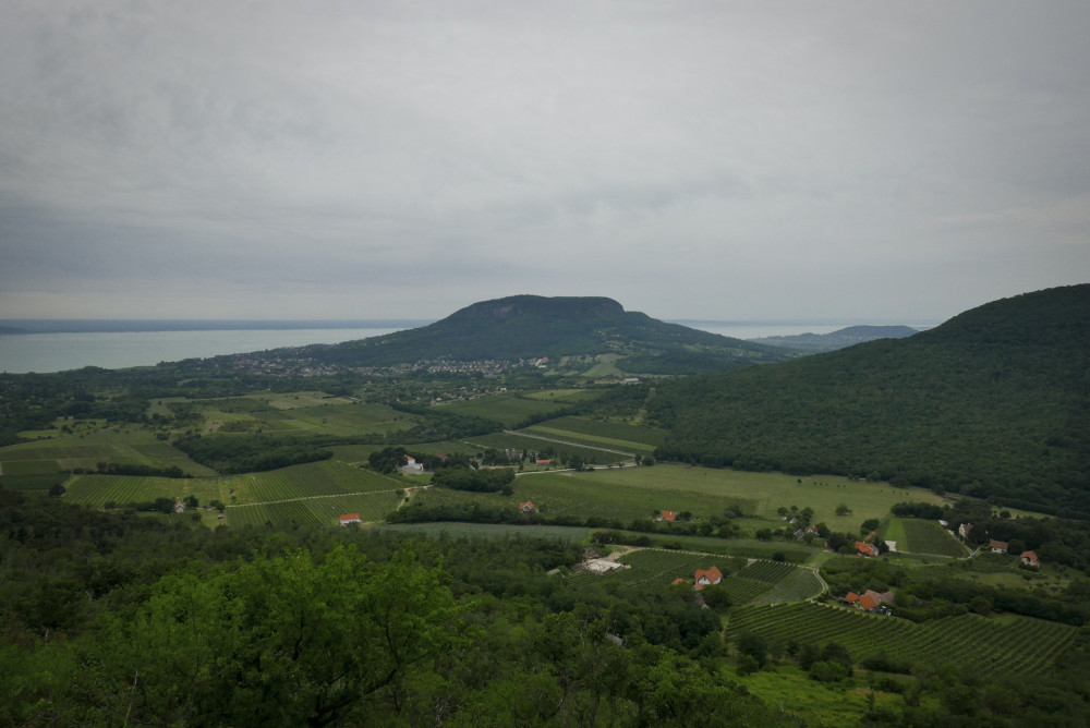 Fotó: Nógrádi Attila