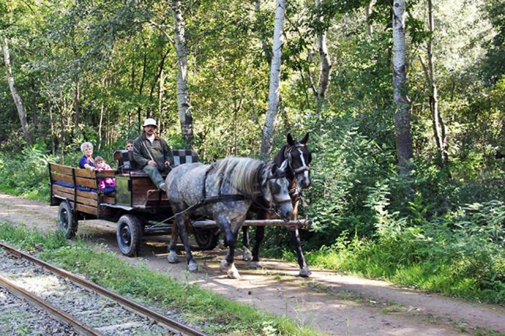 Fotó: Ökoturisztikai Központ Gemenc