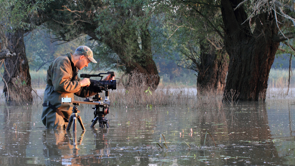 Fotó: Pannonia Entertainment / GP Green Planet Film