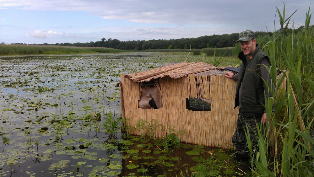 Fotó: Pannonia Entertainment / GP Green Planet Film