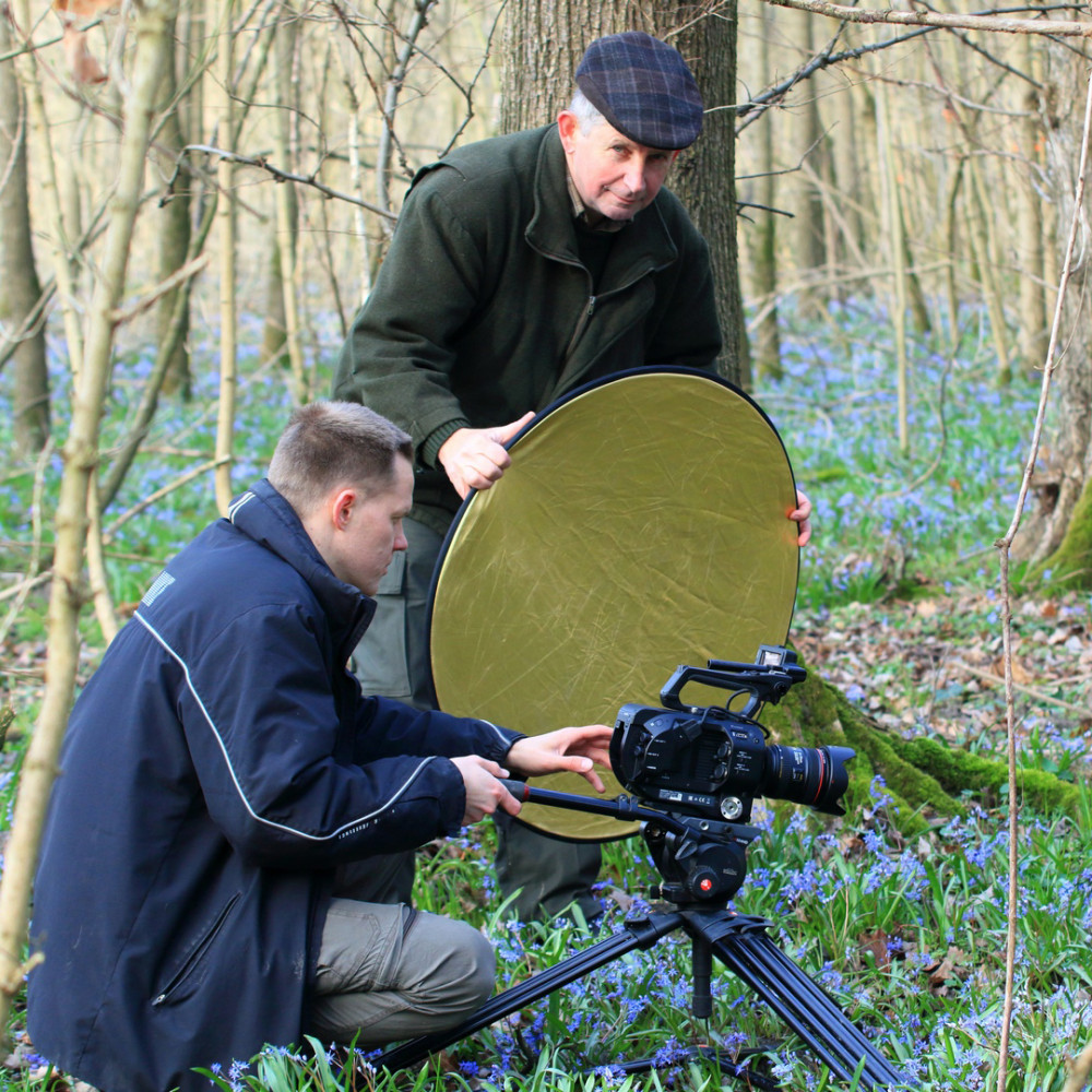 Fotó: Pannonia Entertainment / GP Green Planet Film