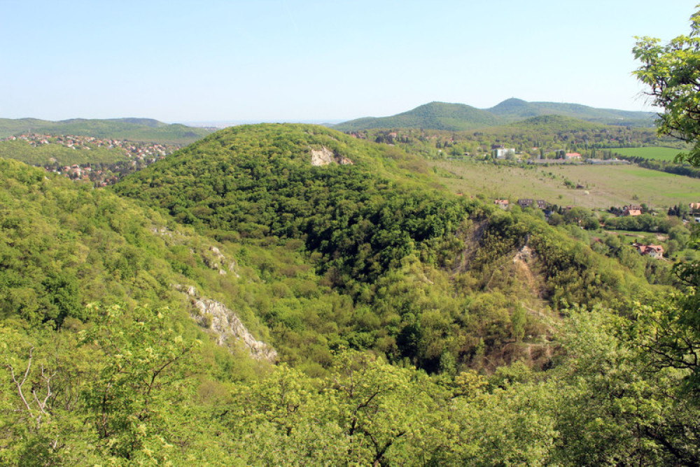 Fotó:  Papp Géza