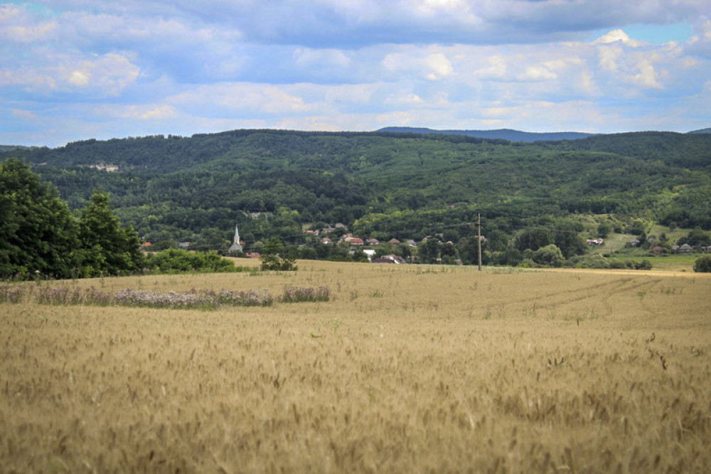 Fotó: Papp Géza, kektura.blog.hu