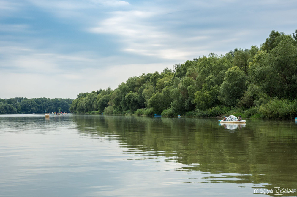 Fotó: petkupa.hu / Maggyar Csaba