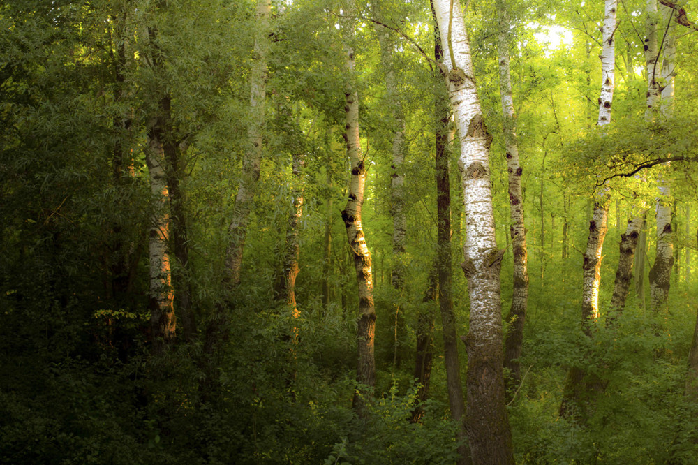 Fotó: Schreck Csilla