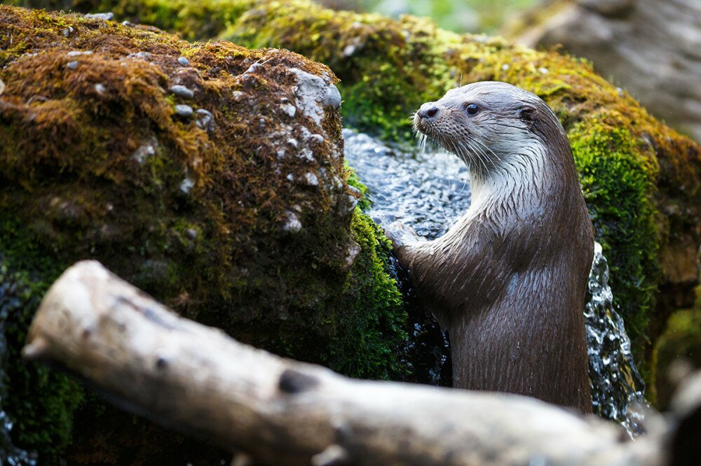 Fotó: Shutterstock