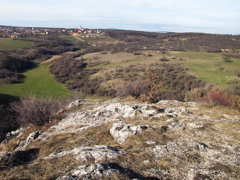 Fotó: Somogyvári D. György