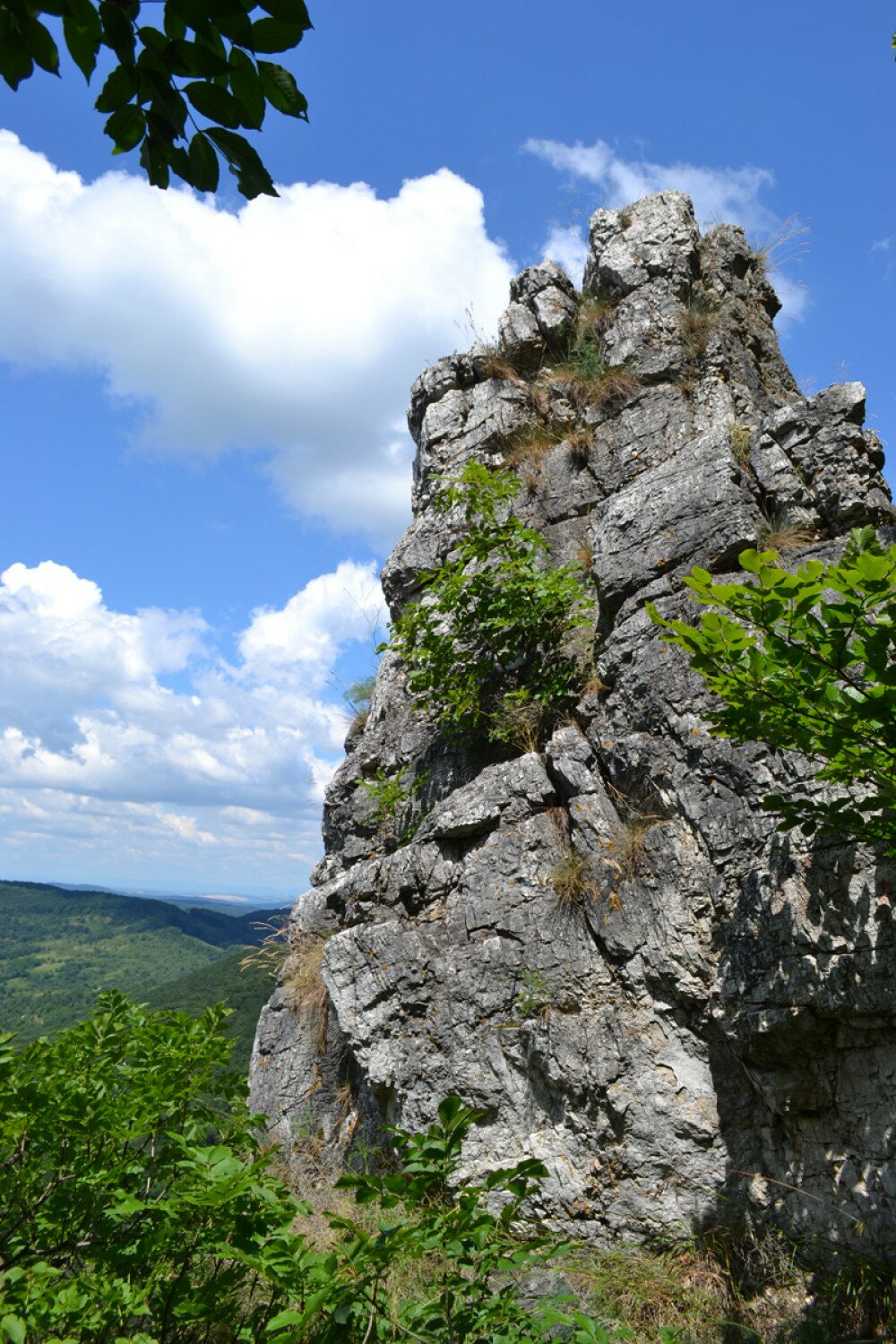 Fotó: Szekeres Gábor