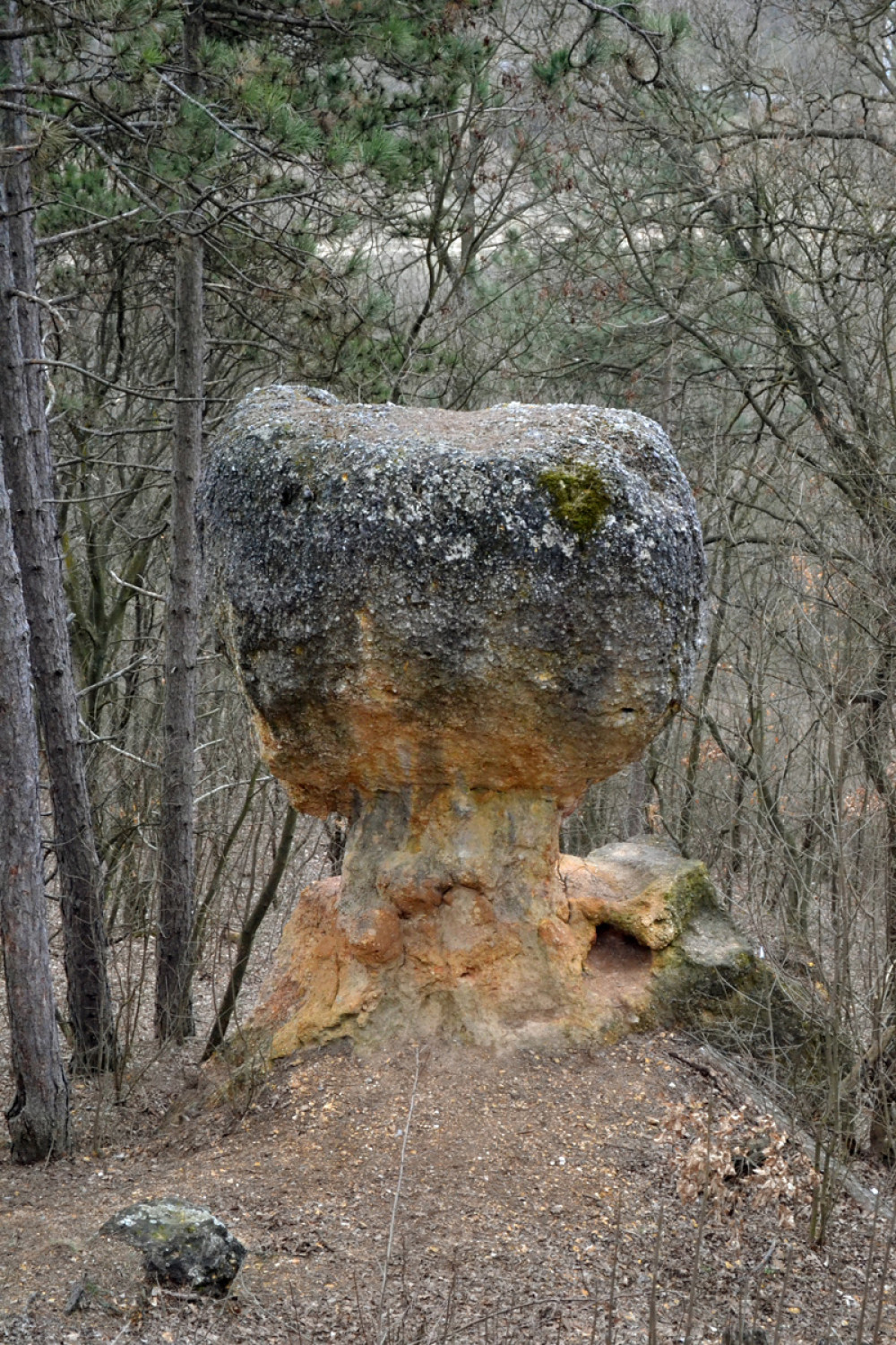 Fotó: Szekeres Gábor