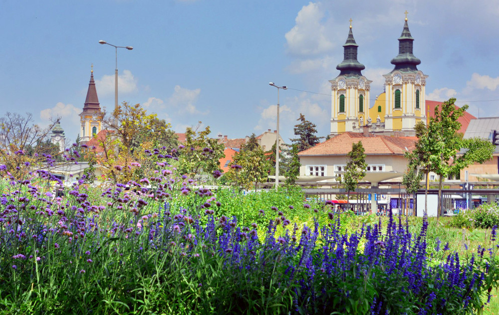 Fotó: szekesfehervar.hu