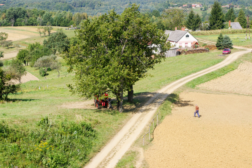 Fotó: Sziget-Böröcz Ferenc