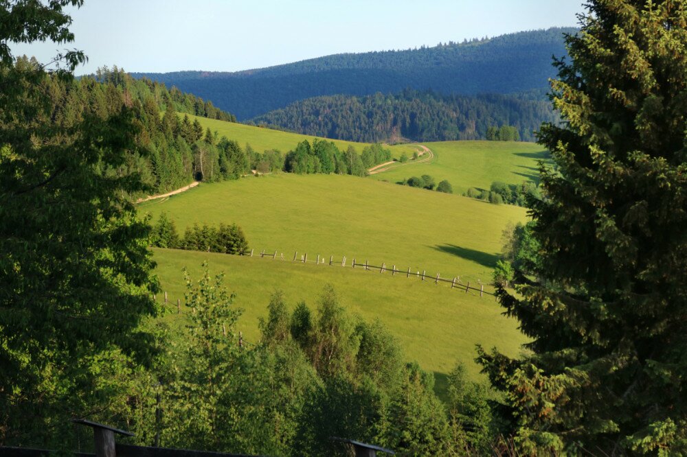 Fotó: Szigeti-Böröcz Ferenc