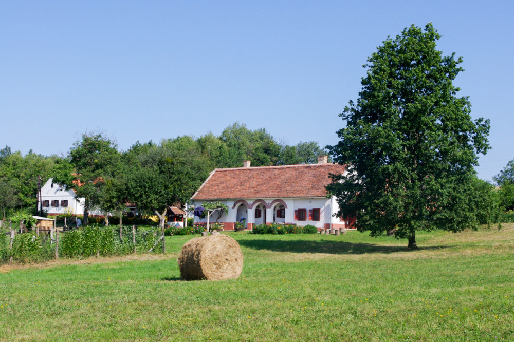 Fotó: Szigeti-Böröcz Ferenc