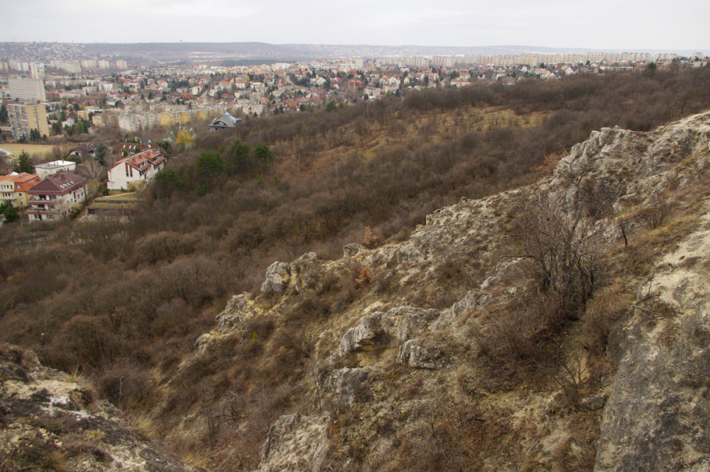 Fotó: Szigeti-Böröcz Ferenc