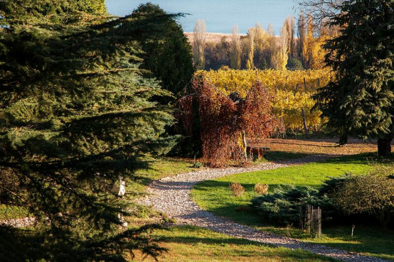 Fotó: Vértesi Eszter / follyarboretum.hu