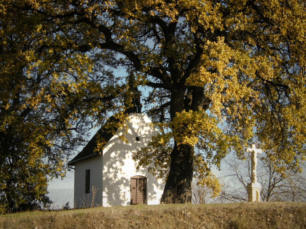 Fotó: www.evfaja.okotars.hu