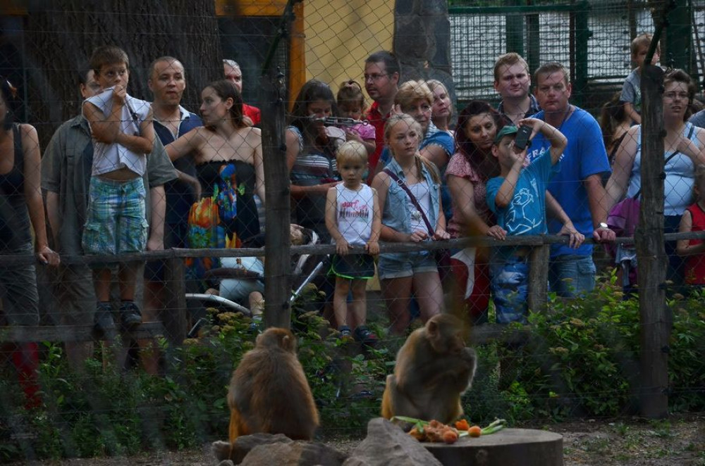 Fotó: zookecskemet.hu