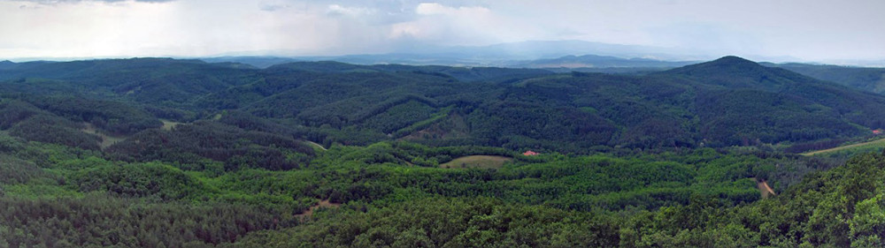 Fotó: Zwickl Bernadett