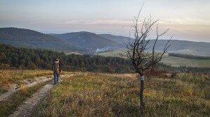 Geokéktúra a Bükkben – A kék ösvény földtudományi értékei