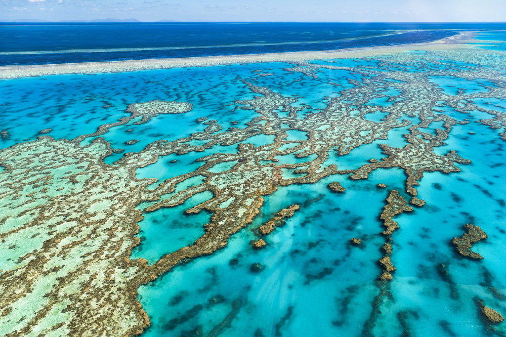 Great Barrier Reef. Whitsundays. Queensland Australia