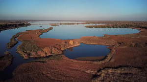 Gyönyörű felvételek a Tisza-tóról