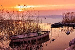 Ha azt hiszed, a Balaton édesvizű tó, akkor tévedsz