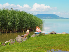 Helyi védettséget kapott a balatonmáriafürdői nádas