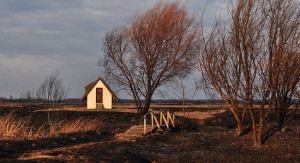 Hogyan érintette az élővilágot a farmosi tűz?