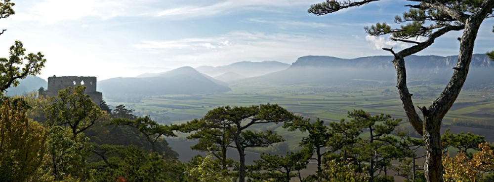 hohewand_neuewelt_wieneralpen_franzzwicklvagva.jpg