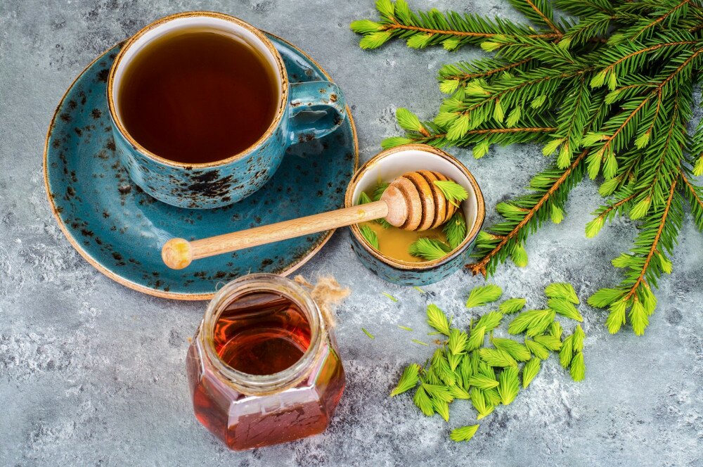 Honey, jam from green spruce shoots