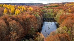 Hubertlaki-tó – Az Öreg-Bakony fiatal, kék szeme