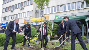 Hungarikum lett az akác