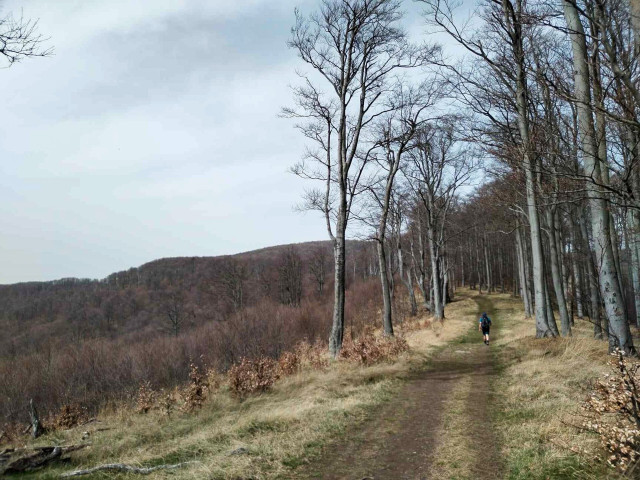 Húsvéti kör a Csóványoson