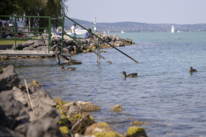 Így dolgoznak a Balaton őrzői