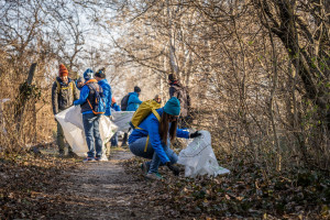 Indul a „Tavaszi nagytakarítás" az erdőkben