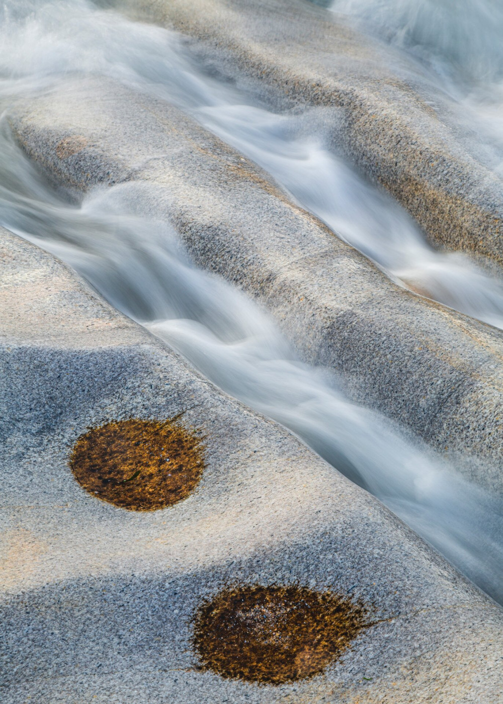 Intimate-Landscape-Finalist-Luís-Afonso-Dialogue-CUPOTY