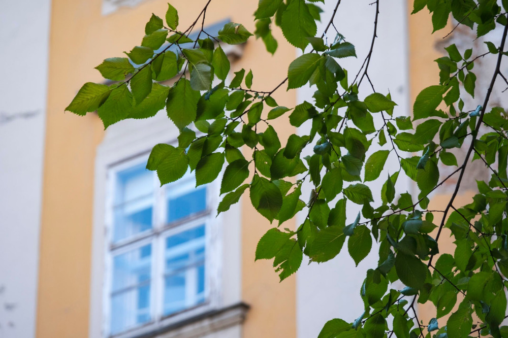 Ismeretlenebb budapesti kertek városi séta