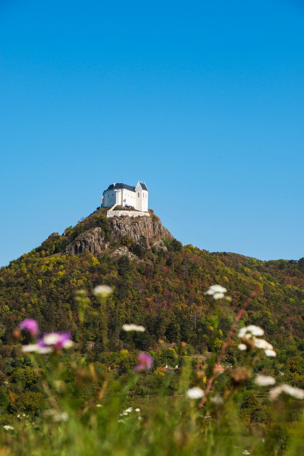 Jelvényvadász - zempléni várak