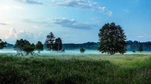 Jönnek a ködös őszi napok: ismerd meg a köd típusait!