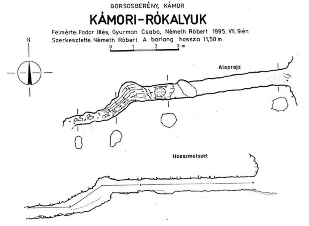 ka__mori_ro__kalyuk_rajz.jpg