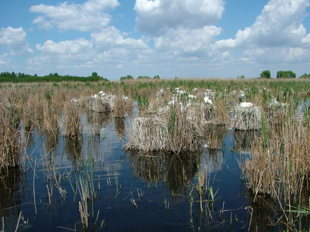 kanalasgem-telep-az-ugrai-retbenx